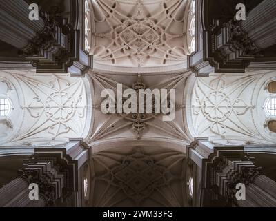 Innendecke der Kathedrale der Inkarnation in Granada, Spanien. Schöne Details von Säulen und Decke mit Licht und Schatten. Fenster hoch. la Stockfoto