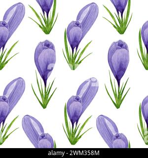 Aquarell lila Krokusse nahtloses Muster, Frühlingsblumen Digitalpapier auf weißem Hintergrund. Handgemalte Blumenabbildung. Für Textildesign, S. Stockfoto