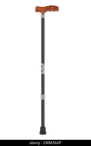 Walking Stick, 3D-Rendering isoliert auf weißem Hintergrund Stockfoto