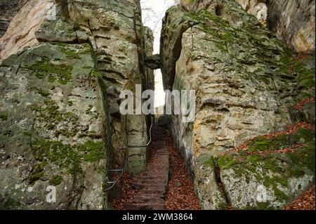 Teufelsschlucht an der Eifel, Teufelsschlucht mit mächtigen Felsblöcken und Schlucht, Wanderweg in Deutschland, Sandsteinbildung, Herbst Stockfoto