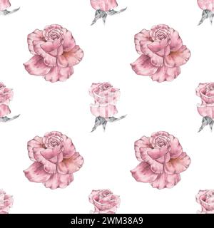 Blume Pfingstrose rosa Vintage nahtlose Muster Aquarell Handzeichnung Illustration in botanischem Stiyle. Kunstdruck-Design Hochzeits-Textil, Tapete Stockfoto