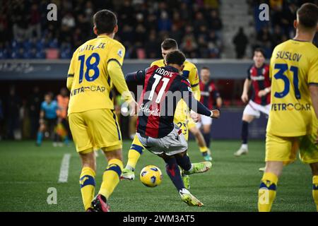 Foto Massimo Paolone/LaPresse 23. Februar 2024 - Bologna, Italia - Sport, calcio - Bologna vs Verona - Campionato italiano di calcio Serie A TIM 2023/2024 - Stadio Renato Dall'Ara. Nella Foto: Dan Ndoye (Bologna FC) in Azione kontrastato da Giangiacomo Magnani (Hellas Verona) e Fabien Centonze (Hellas Verona) 23. Februar 2024 Bologna, Italien - Sport, calcio - Bologna vs Verona - italienische Fußballmeisterschaft der Serie A 2023/2024 - Renato Dall'Ara Stadion. Im Bild: Dan Ndoye (Bologna FC) tritt um den Ball mit Giangiacomo Magnani (Hellas Verona) und Fabien Centonze (Hellas VE) an Stockfoto