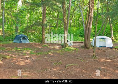 Abgeschiedener Campingplatz im North Woods am Mountain Lake in der Sylvania Wilderness in Michigan Stockfoto