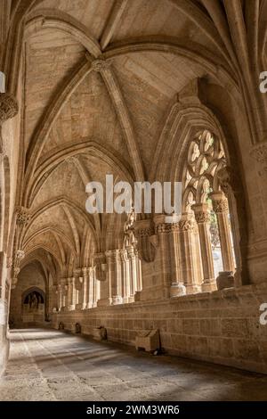Ciudad Rodrigo, Spanien - 10. Juni 2023: Kreuzgang der Kathedrale von Ciudad Rodrigo in Spanien. Stockfoto