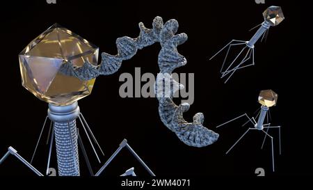 3D-Rendering der Nukleinsäuren von Bakteriophagen kann DNA, doppelsträngig und linear sein Stockfoto