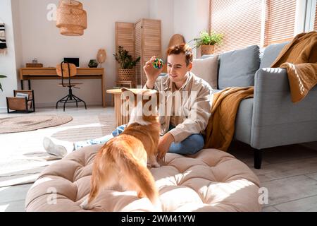 Rothaariger junger glücklicher Mann, der mit dem süßen Corgi-Hund zu Hause spielt Stockfoto