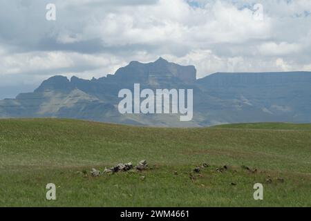 Giants Castle Mountain Silhouette, Drakensberg Berge, ikonisches Urlaubsziel, KwaZulu-Natal, Südafrika, wunderschöne Landschaft Stockfoto