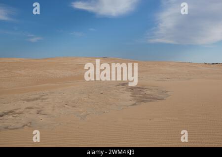 Ein malerischer Blick auf die Sanddünen im Jockey's Ridge State Park in den Outer Banks in North Carolina. Stockfoto