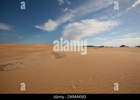 Ein malerischer Blick auf die Sanddünen im Jockey's Ridge State Park in den Outer Banks in North Carolina. Stockfoto