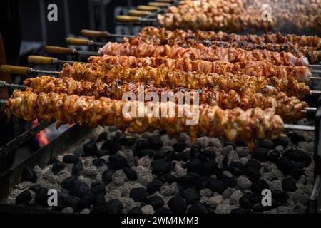 Melbourne, Australien. Februar 2024. Ein Verkaufsstand verkauft gegrilltes Fleisch. Das Antipodes Festival in Melbourne ist das größte fest der griechischen Kultur in Australien. Das zweitägige Festival bietet kulturelle Darbietungen, traditionelle griechische Tänze, Live-Musik und authentische griechische Küche von lokalen Anbietern. Quelle: SOPA Images Limited/Alamy Live News Stockfoto