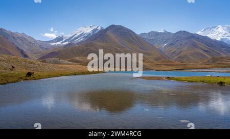 Malerische Hochgebirgslandschaft mit schneebedeckten Bergen und Reflektionen im See in der Nähe des Lenin-Gipfels Achik Tash Basecamp, Trans Alay Range, Kirgisistan Stockfoto