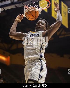 Haas Pavilion Berkeley Calif, USA. Februar 2024. Der kalifornische Garde Jalen Celestine (32) Slam stiehlt den Ball nach einem Diebstahl von Tyler Bilodeau (34) während des NCAA Männer Basketballspiels zwischen Oregon State Beavers und den California Golden Bears. Kalifornien besiegt Oregon State 81-73 im Haas Pavilion Berkeley Kalifornien Thurman James/CSM/Alamy Live News Stockfoto