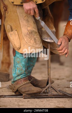 Nahaufnahme eines Schmiedenbauers, der an Pferden arbeitet, mit Raspeln oder Feilen außerhalb des Hufs, der Pferdefuß mit türkisfarbenen Cowboystiefeln beschneidet Stockfoto