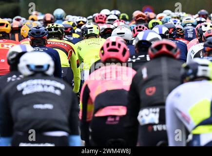 Gent, Belgien. Februar 2024. Die Gruppe von Fahrern, die während der 79. Auflage des eintägigen Radrennens Omloop Het Nieuwsblad (UCI World Tour), 202 km von Gent nach Ninove, am Samstag, den 24. Februar 2024, in Aktion genommen wurden. BELGA FOTO DIRK WAEM Credit: Belga News Agency/Alamy Live News Stockfoto