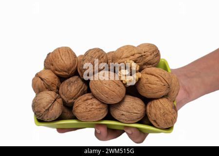 Dieses Bild zeigt eine Handvoll frischer, biologischer Walnüsse in einer Green Bowl und hält eine Hand, die eine grüne Schüssel mit ganzen, biologischen Walnüssen gegen Sauberkeit hält Stockfoto