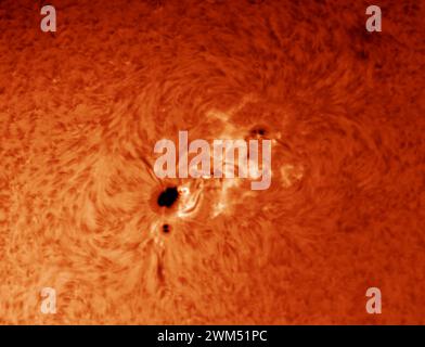 London, Großbritannien. Februar 2024. Nahaufnahme des riesigen Sonnenflecks AR3590, einer Quelle für erdgebundene X-Klasse-Sonneneruptionen, der stärksten seit 2017. (Bilderfassung aus Videosequenz von 12.000 Bildern). Kredit: Malcolm Park/Alamy Stockfoto