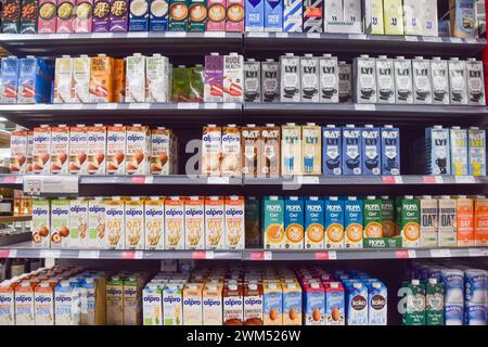 London, Großbritannien. Februar 2024. Pflanzliche Milchalternativen in einem Londoner Supermarkt. Milchalternativen könnten gezwungen werden, ihre Namen zu ändern und die Verwendung von Variationen von Begriffen wie "Milch", "Butter" und "Käse" im Rahmen der vorgeschlagenen neuen Vorschriften, die behaupten, Verwechslungen zwischen pflanzlichen Erzeugnissen und Milcherzeugnissen zu vermeiden, einzustellen. Der Vorschlag wurde von pflanzlichen Lebensmittelherstellern kritisiert. Quelle: Vuk Valcic/Alamy Live News Stockfoto