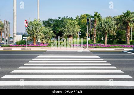 Weiße Streifen von Fußgängerübergängen. Weiße Straßenmarkierungen auf der Autobahn. Zulässige Ampelfunktion Stockfoto