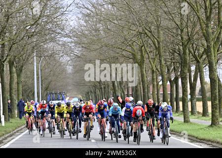 Gent, Belgien. Februar 2024. Die Gruppe von Fahrern, die während der 79. Auflage des eintägigen Radrennens Omloop Het Nieuwsblad (UCI World Tour), 202 km von Gent nach Ninove, am Samstag, den 24. Februar 2024, in Aktion genommen wurden. BELGA FOTO DIRK WAEM Credit: Belga News Agency/Alamy Live News Stockfoto