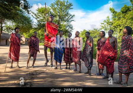 Eine Gruppe von Maasai-Kriegern führt den traditionellen Springtanz in ihrem Dorf in Mikumi, Tansania, auf Stockfoto