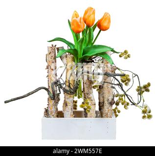 Frühlingsdeco mit künstlichen Tulpen und Birkenzweigen isoliert auf weiß Stockfoto