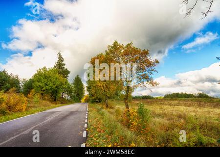 Herbstlandschaft im Knyszyn Urwald, Polen Europa, frühmorgens, Straße und Bäume mit bunten Blättern Stockfoto