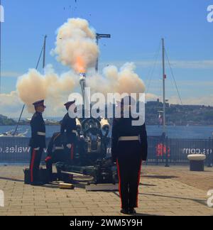 Zeremonielle 21 Gun Salutes, die von den Waliser Borderers, 104 Regiment, der Royal Artillery, der British Army, in Cardiff Bay, Wales, Großbritannien Stockfoto