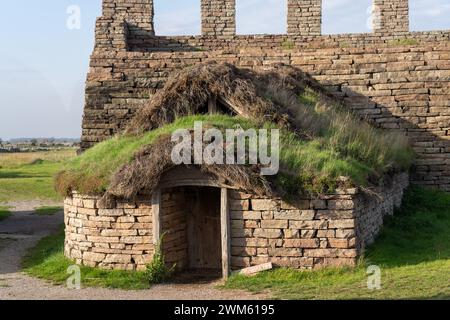 Eine Steinhütte mit Strohdach, bedeckt mit Moos. Oland, Schweden Stockfoto