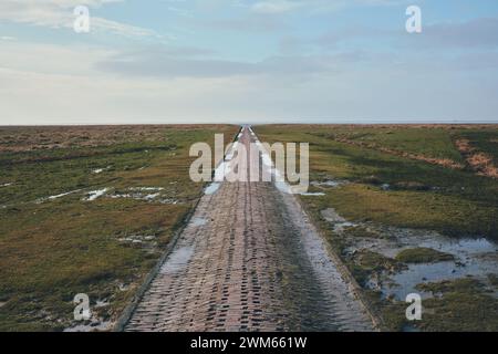Backsteinpfad ins wattenmeer bei westerhever in deutschland. Hochwertige Fotos Stockfoto