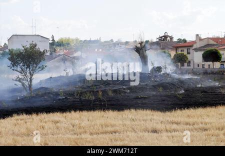 Feuerwehrmann durch den Rauch, der das verbrannte Gras nach einem Feuer mit Wasser kühlt. Stockfoto