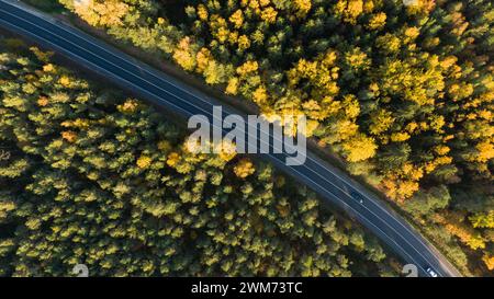 Luftaufnahmen machen eine malerische Fahrt, bei der Fahrzeuge auf einer Straße durch einen lebhaften Herbstwald fahren. Der Kontrast des dunklen Asphalts zum bunten Laub ist auffällig. Stockfoto