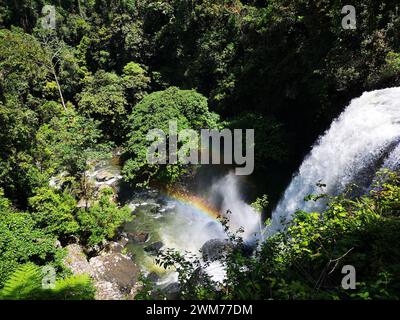 Ein Regenbogen über einem Wasserfall mit üppigem Grün und Fluss darunter Stockfoto