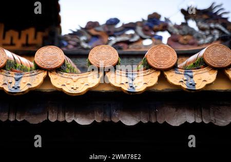 Dachdekorationen in der Verbotenen Zitadelle in Hue an einem regnerischen Tag, Vietnam Stockfoto