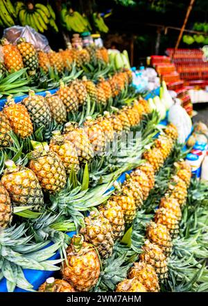 Die frischen Ananas auf einem lokalen Bauernmarkt Stockfoto