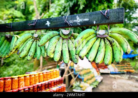 Bananen und Gläser, die auf einem Markt ausgestellt werden Stockfoto