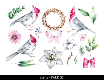 Aquarellset von Vögeln mit Blumen. Roter Kardinalvogel, Blumensträuße und Kränze auf weiß. Vögel und Blumen handgezeichnet isoliert. Zusammensetzungen mit Vögeln Stockfoto