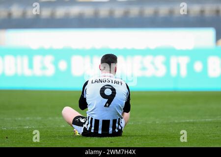 Nottingham am Samstag, den 24. Februar 2024. Macaulay Langstaff aus Notts County während des Spiels der Sky Bet League 2 zwischen Notts County und Crewe Alexandra in der Meadow Lane, Nottingham am Samstag, den 24. Februar 2024. (Foto: Jon Hobley | MI News) Credit: MI News & Sport /Alamy Live News Stockfoto