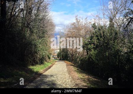 Kopfsteinpflasterstraße an einem Hang inmitten eines Waldes mit einer Stadt und einem Bergkamm in der Ferne, umrahmt von Bäumen Stockfoto