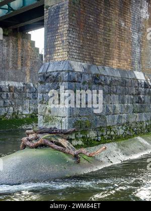 Nach den jüngsten Stürmen, als der Fluss sehr hoch war, wurden Äste auf einem Steinpfeiler einer alten Eisenbahnbrücke gespült. Stockfoto