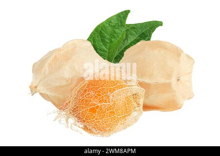 Kapstachelbeere oder Physalis isoliert auf weißem Hintergrund mit voller Schärfentiefe. Stockfoto