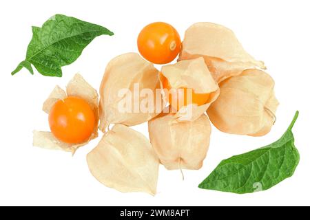 Kapstachelbeere oder Physalis isoliert auf weißem Hintergrund mit voller Schärfentiefe. Draufsicht. Flache Lagen. Stockfoto