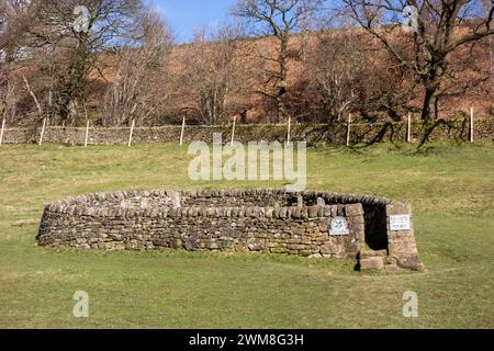 Die Riley-Gräber und Grabstätten, umgeben von einer Steinmauer, die Gräber der ganzen Hancock-Familie. Die alle an der Pest im Eyam Peak District Derbyshire gestorben sind Stockfoto