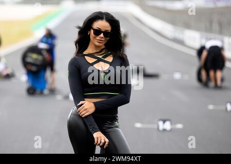 Phillip Island, Australien, 24. Februar 2024. Monster Grid Girl beim 1. Samstag bei den australischen Motul FIM World Superbike Championships auf dem Phillip Island Grand Prix Circuit am 24. Februar 2024 in Phillip Island, Australien. Quelle: Ivica Glavas/Speed Media/Alamy Live News Stockfoto