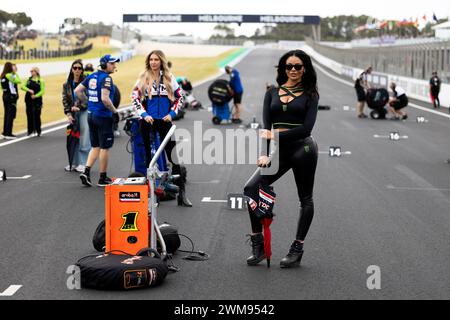 Phillip Island, Australien, 24. Februar 2024. Monster Grid Girl beim 1. Samstag bei den australischen Motul FIM World Superbike Championships auf dem Phillip Island Grand Prix Circuit am 24. Februar 2024 in Phillip Island, Australien. Quelle: Ivica Glavas/Speed Media/Alamy Live News Stockfoto