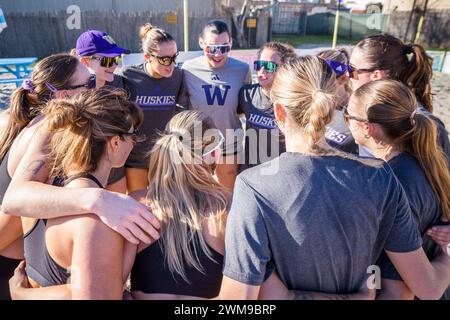 Houston, Texas, USA. Februar 2024. Spieler und Trainer der Washington Huskies treffen sich nach dem NCAA-Beachvolleyball-Spiel zwischen den TCU Horned Frogs und den Washington Huskies im Third Coast College Classic 2024, das von der Houston Christian University am Third Coast Volleyball in Houston, Texas, veranstaltet wird. Prentice C. James über Cal Sport Media/Alamy Live News Stockfoto