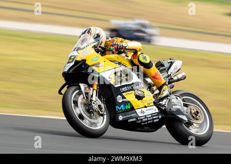 Phillip Island, Australien, 25. Februar 2024. Andrea Iannone aus Italien im Team GoEleven Ducati Panigale V4R während der australischen Motul FIM Superbike Weltmeisterschaft auf dem Phillip Island Grand Prix Circuit am 25. Februar 2024 in Phillip Island, Australien. Quelle: Dave Hewison/Speed Media/Alamy Live News Stockfoto