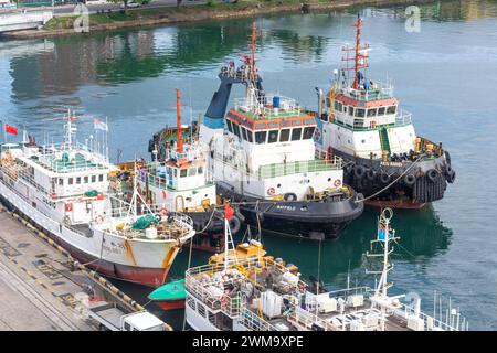 Angeln und Schlepper im Hafen, Suva, Viti Levu, Republik Fidschi Stockfoto