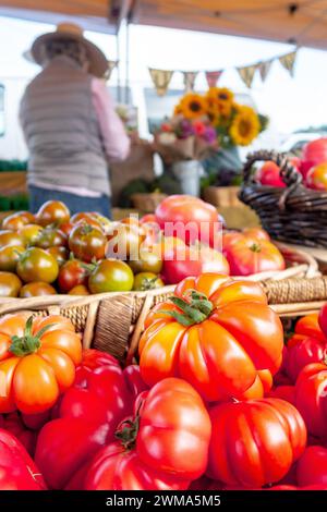 Bunte Auswahl an frischen Bio-Tomaten auf Holztisch. Hochwertige Fotos Stockfoto