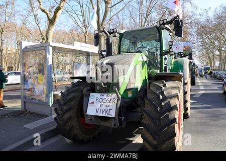 Demonstration von Bauern aus Nouvelle-Aquitaine im Südwesten Frankreichs in Bordeaux, der Hauptstadt der Region, um „Nein zur Liquidation der Franzosen zu sagen Stockfoto