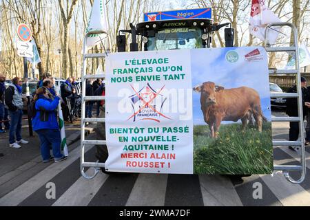 Demonstration von Bauern aus Nouvelle-Aquitaine im Südwesten Frankreichs in Bordeaux, der Hauptstadt der Region, um „Nein zur Liquidation der Franzosen zu sagen Stockfoto